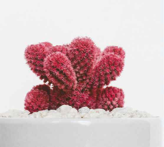 功能完善先进的ddos在线攻击测试网站